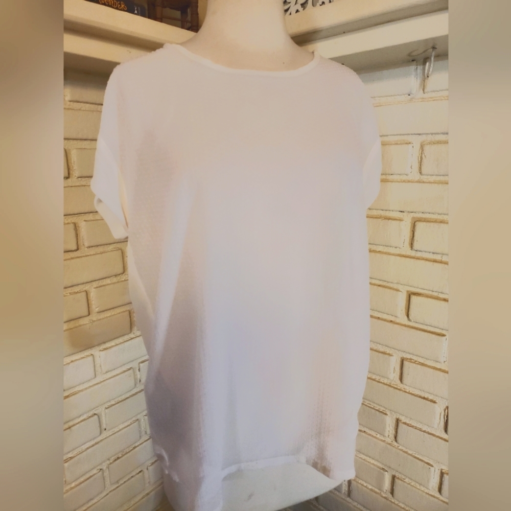 Sheer white short sleeve top